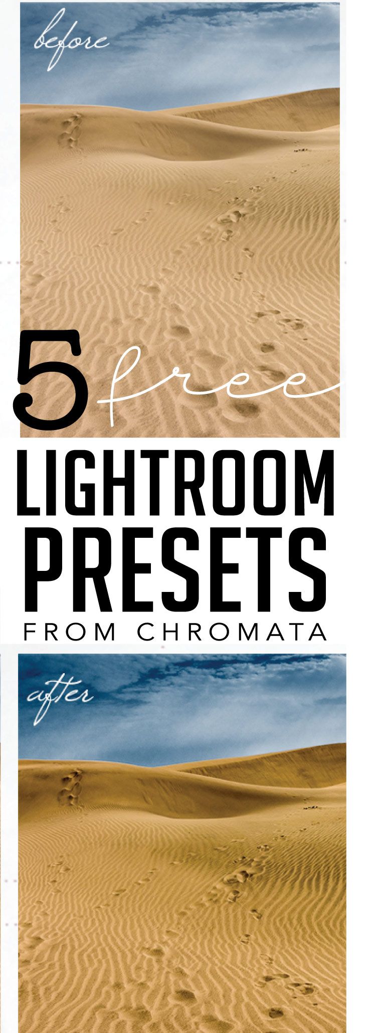 best lightroom presets for photographers